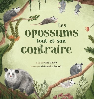 Gina Gallois, Marilène Haroux - Les opossums, Inbunden