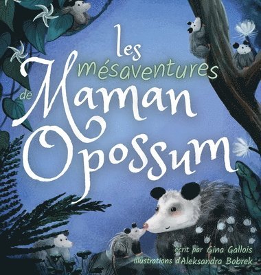 Gina Gallois, Marilène Haroux - Les mésaventures de Maman Opossum, Inbunden