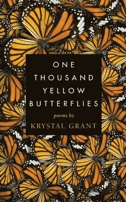 One Thousand Yellow Butterflies 1
