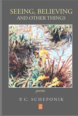 bokomslag Seeing, Believing, and Other Things: Poems