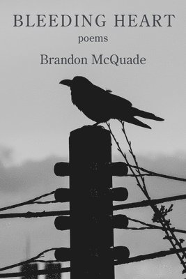 Brandon McQuade - Bleeding Heart, Häftad. Tillgänglighet: Lägg i varukorg