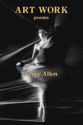 Terry Allen - Art Work, Häftad