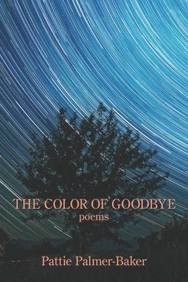 bokomslag Color of Goodbye
