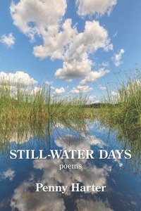 bokomslag Still-Water Days