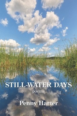 bokomslag Still-Water Days