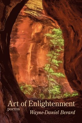 Wayne-Daniel Berard - Art of Enlightenment, Häftad