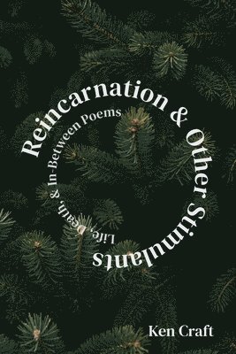 Reincarnation & Other Stimulants 1