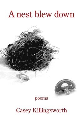 Casey Killingsworth - nest blew down, Häftad