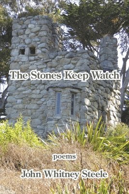 bokomslag Stones Keep Watch