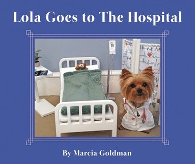 bokomslag Lola Goes to the Hospital