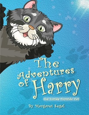 bokomslag The Adventures of Harry the Inside-Outside Cat
