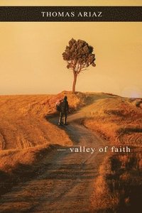 bokomslag Valley of Faith