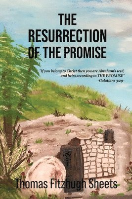 bokomslag The Resurrection of the Promise