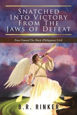 B R Rinker, B. R. Rinker, B.R. Rinker - Snatched into Victory From The Jaws of Defeat, Häftad