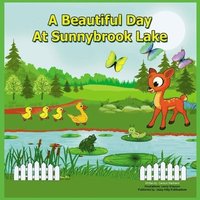 bokomslag A Beautiful Day at Sunnybrook Lake