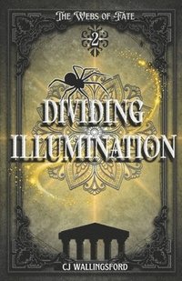 bokomslag Dividing Illumination