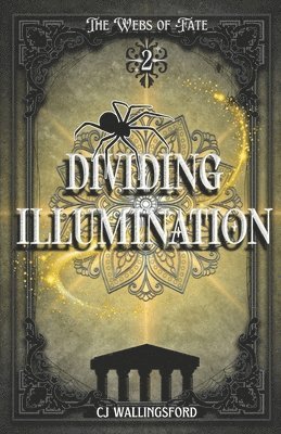 bokomslag Dividing Illumination