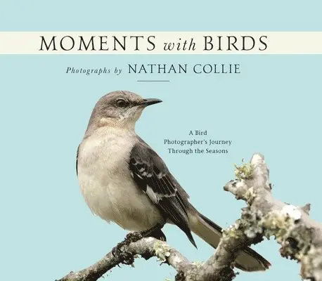 Nathan Collie - Moments with Birds, Inbunden. Tillgänglighet: Lägg i varukorg