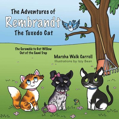 The Adventures of Rembrandt the Tuxedo Cat: The Scramble to Get Willow Out of the Sand 1