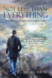 bokomslag Not Less Than Everything: One Man's Quest for Spiritual Enlightenment