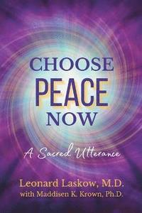 bokomslag Choose Peace Now