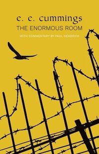 bokomslag Enormous Room (Warbler Classics)