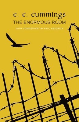 bokomslag The Enormous Room (Warbler Classics)