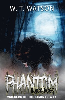 bokomslag Phantom Black Dogs