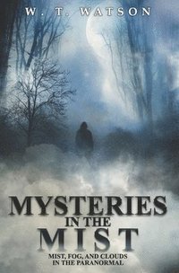 bokomslag Mysteries in the Mist