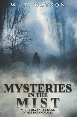 Mysteries in the Mist 1