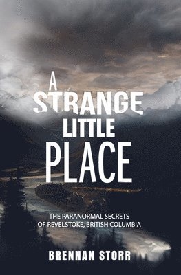 bokomslag Strange Little Place
