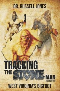 bokomslag Tracking the Stone Man