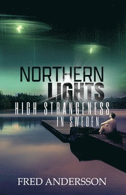 bokomslag Northern Lights