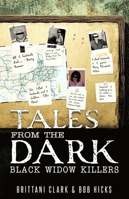 Bob Hicks, Brittani Clark - Tales From The Dark, Häftad