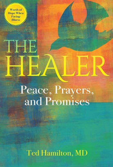bokomslag Healer