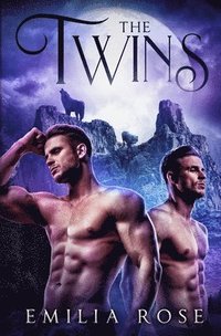 bokomslag Twins