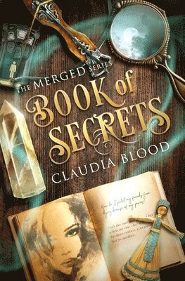 bokomslag Book of Secrets