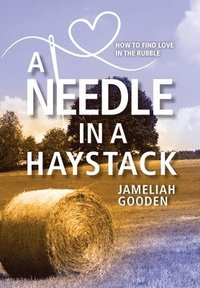 bokomslag A Needle in a Haystack