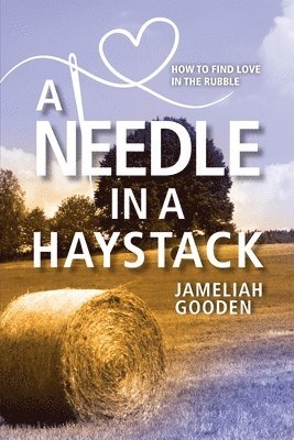 bokomslag A Needle in a Haystack