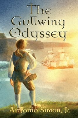 bokomslag The Gullwing Odyssey