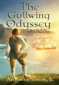 bokomslag The Gullwing Odyssey
