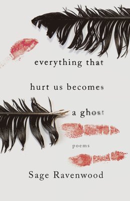 bokomslag Everything That Hurt Us Becomes a Ghost