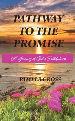 Pathway to the Promise 1