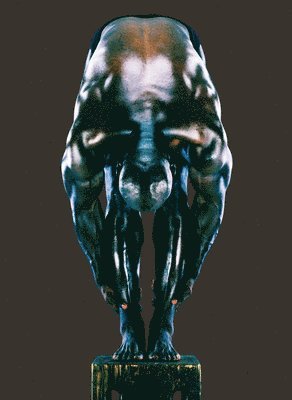 bokomslag Graphis Photography Annual 2022