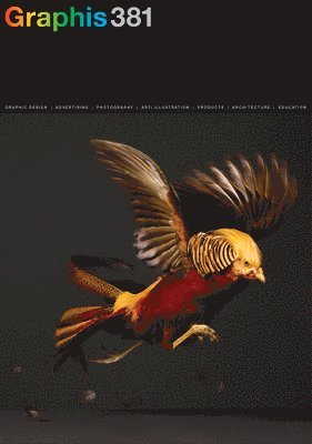 Graphis Journal Magazine 381 1