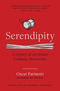 bokomslag Serendipity