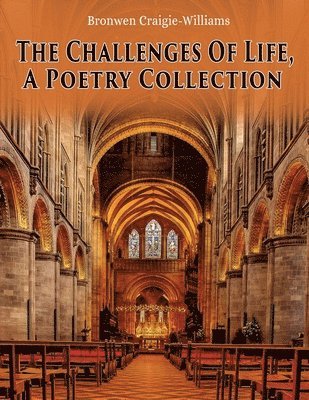 Challenges Of Life 1