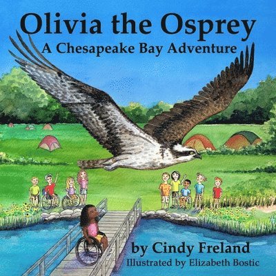 Olivia the Osprey 1