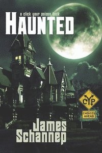 bokomslag Haunted