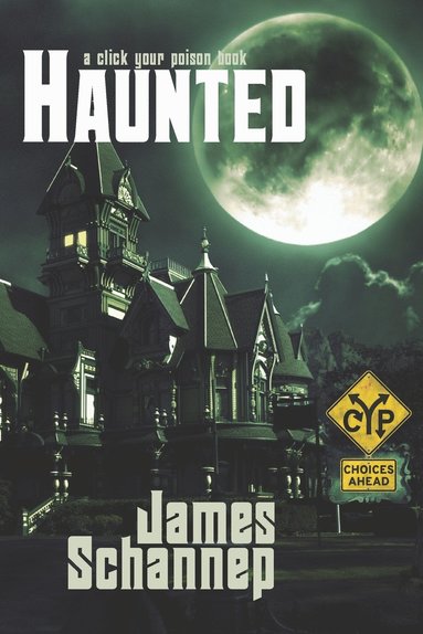 bokomslag Haunted